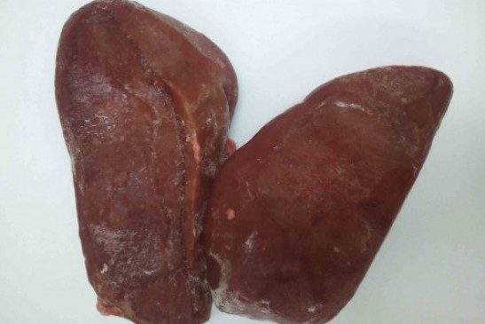 Pork Kidney